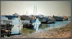 ���� ������ ��� ��� ����