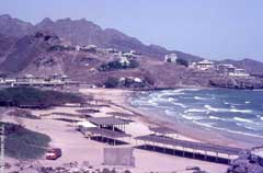 ���� ������ ��� ��� ����