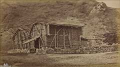 ���� ������ ��� ��� ����