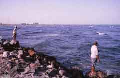 ���� ������ ��� ��� ����