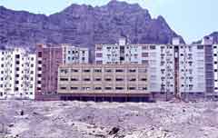 ���� ������ ��� ��� ����