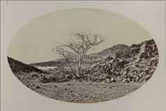 ���� ������ ��� ��� ����