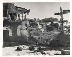 ���� ������ ��� ��� ����