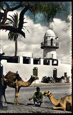 ���� ������ ��� ��� ����