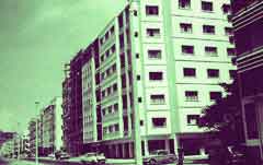 ���� ������ ��� ��� ����