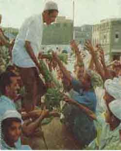 ���� ������ ��� ��� ����