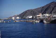 ���� ������ ��� ��� ����