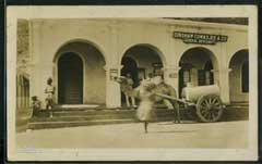 ���� ������ ��� ��� ����