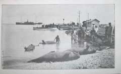 انقر للحصول على حجم اكبر