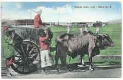 انقر للحصول على حجم اكبر