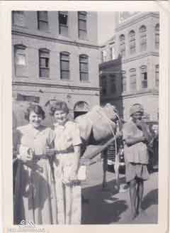 ���� ������ ��� ��� ����