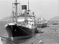 انقر للحصول على حجم اكبر