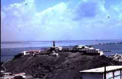 ���� ������ ��� ��� ����