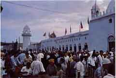 ���� ������ ��� ��� ����