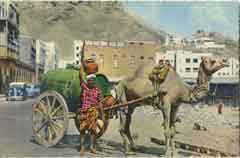 ���� ������ ��� ��� ����