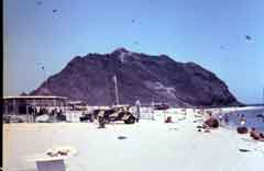 ���� ������ ��� ��� ����