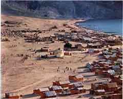 ���� ������ ��� ��� ����