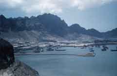 ���� ������ ��� ��� ����