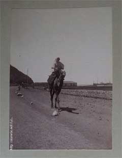 ���� ������ ��� ��� ����