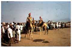 انقر للحصول على حجم اكبر