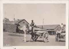 ���� ������ ��� ��� ����