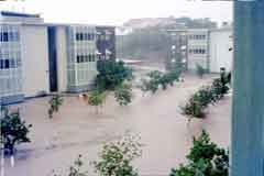 ���� ������ ��� ��� ����