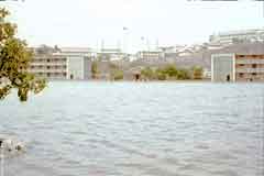 ���� ������ ��� ��� ����