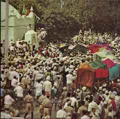 ���� ������ ��� ��� ����