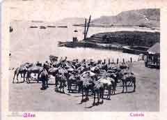 ���� ������ ��� ��� ����