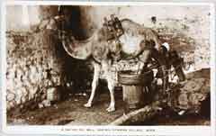 ���� ������ ��� ��� ����