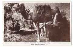 ���� ������ ��� ��� ����