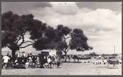 ���� ������ ��� ��� ����