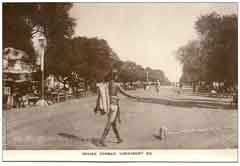 ���� ������ ��� ��� ����