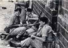 ���� ������ ��� ��� ����