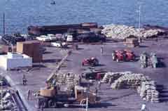 ���� ������ ��� ��� ����