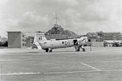 ���� ������ ��� ��� ����