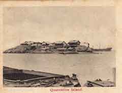 ���� ������ ��� ��� ����