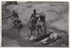 ���� ������ ��� ��� ����