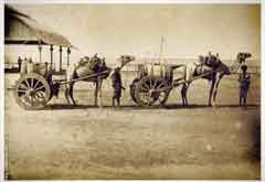 ���� ������ ��� ��� ����