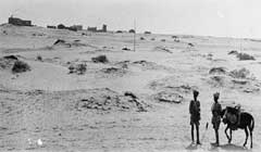 ���� ������ ��� ��� ����