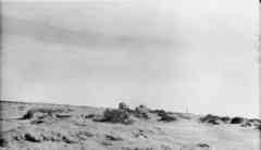 ���� ������ ��� ��� ����