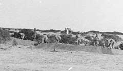 ���� ������ ��� ��� ����