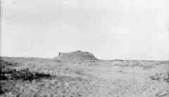 ���� ������ ��� ��� ����