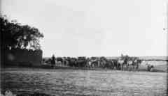 ���� ������ ��� ��� ����