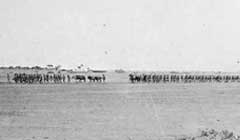 ���� ������ ��� ��� ����