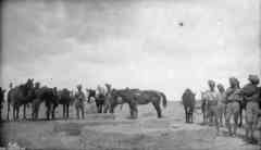 ���� ������ ��� ��� ����