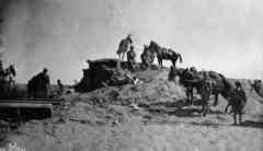 ���� ������ ��� ��� ����