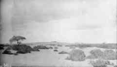 ���� ������ ��� ��� ����