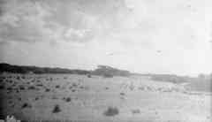 ���� ������ ��� ��� ����