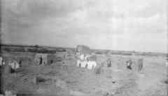 ���� ������ ��� ��� ����